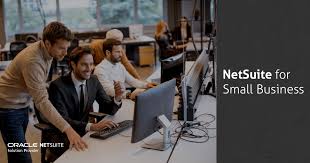 Empowering NetSuite Small Businesses with Solutions